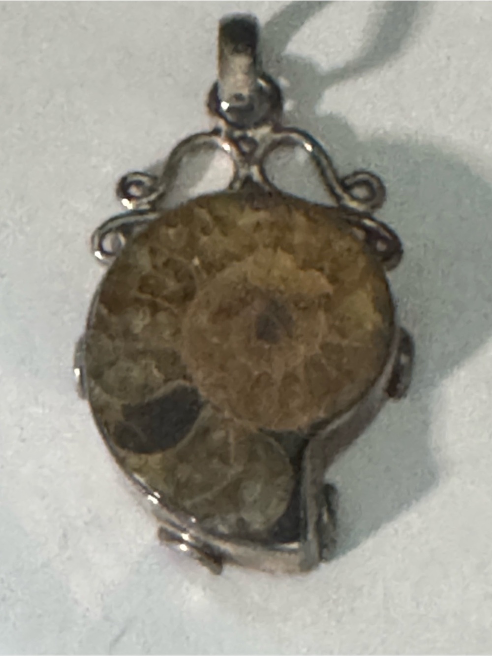 Natural Ammonite Fossil with an intricate stamped 925 Artisan 2 inches